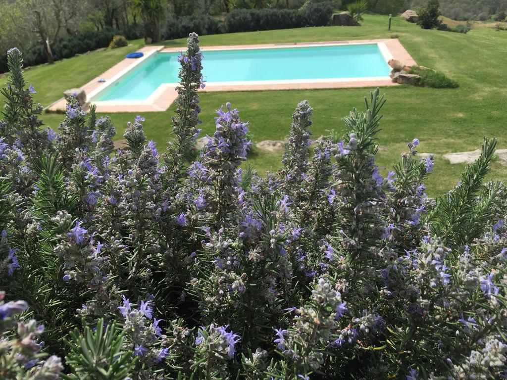 Agriturismo Podere S. Croce Saturnia Eksteriør billede